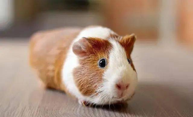 光影实验 — 舞台瞬间·轻纪录 缩略图