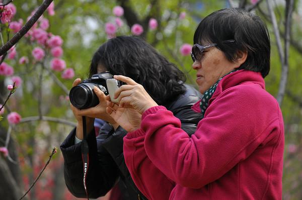 远岫影像社 头像